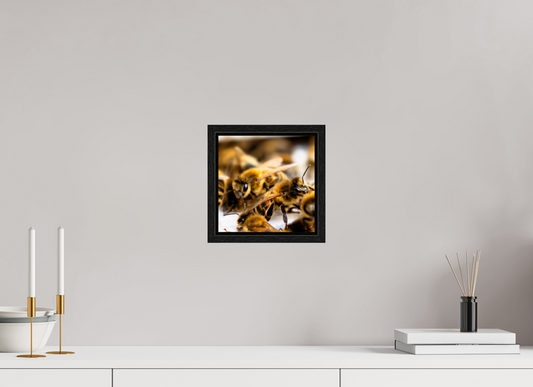 20 x 20 cm, Floater Frame Zwischen Flügeln – Fine Art Print
