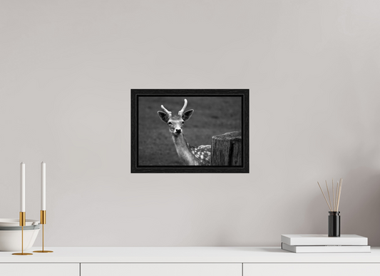 30 x 20 cm, Floater Frame Stille Begegnung – Fine Art Print