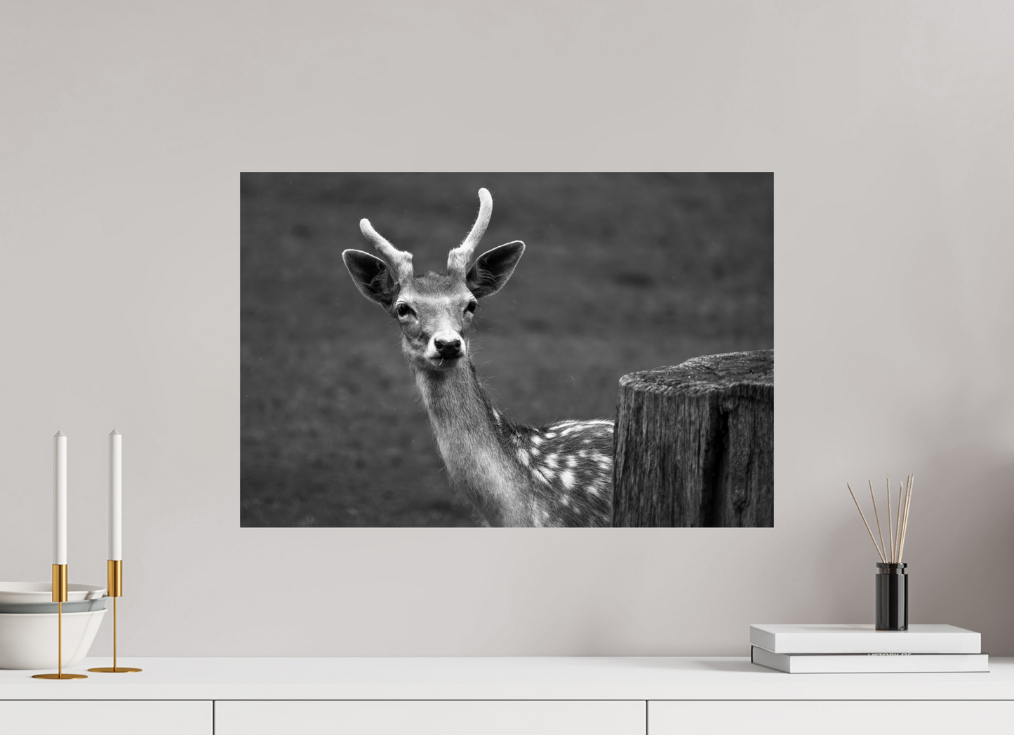 60 x 40 cm, Photo Print On Fuji Crystal DP II Stille Begegnung – Fine Art Print