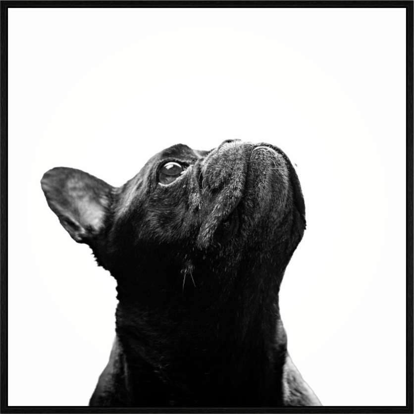 Main image Lichtkante – Fine Art Print
