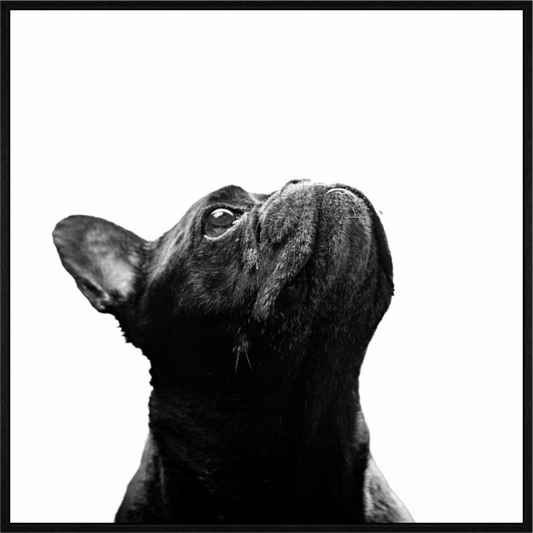 Main image Lichtkante – Fine Art Print